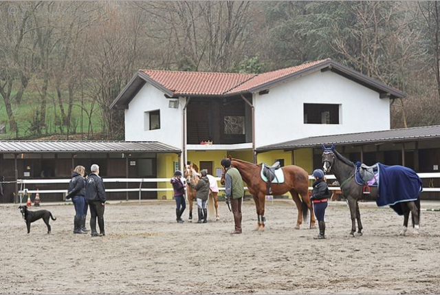 Cursos y pasantías en el Equestrian Club 